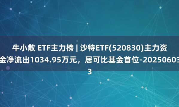 牛小散 ETF主力榜 | 沙特ETF(520830)主力资金净流出1034.95万元，居可比基金首位-20250603