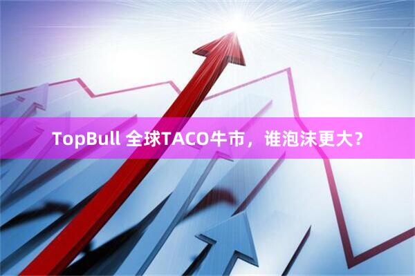 TopBull 全球TACO牛市，谁泡沫更大？
