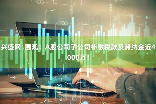 兴盛网  围观！A股公司子公司补缴税款及滞纳金近4000万！