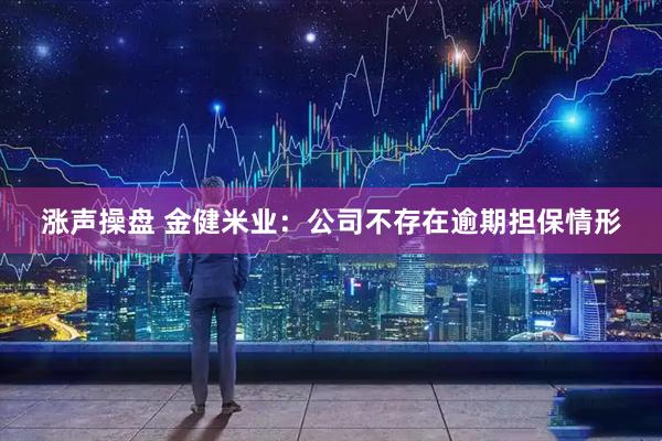 涨声操盘 金健米业：公司不存在逾期担保情形